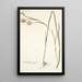 Gladiolus angustus - Nikolaus Joseph Freiherr von Jacquin — gerahmtes Bild an der Wand