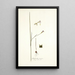 Gladiolus tristis prioris varietas - Nikolaus Joseph Freiherr von Jacquin — gerahmtes Bild an der Wand