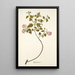 Malva balsamica - Nikolaus Joseph Freiherr von Jacquin — gerahmtes Bild an der Wand