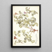 Pelargonium caucalifolium - Nikolaus Joseph Freiherr von Jacquin — gerahmtes Bild an der Wand