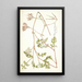 Pelargonium longicaule - Nikolaus Joseph Freiherr von Jacquin — gerahmtes Bild an der Wand