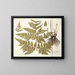 Polypodium multifidum - Nikolaus Joseph Freiherr von Jacquin — gerahmtes Bild an der Wand