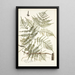Pteris caudata - Nikolaus Joseph Freiherr von Jacquin — gerahmtes Bild an der Wand