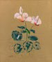 Cyclamen - Odilon Redon — Ansicht des Kunstwerks