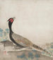 Fasan - Ogata Kōrin — Ansicht des Kunstwerks