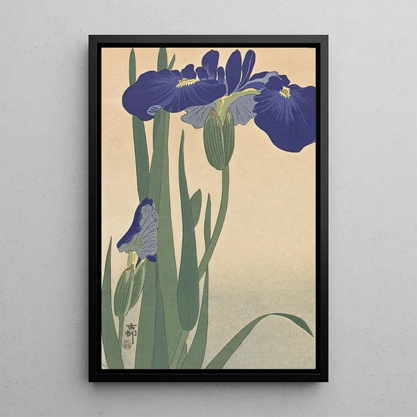 Iris bleus - Ohara Koson — gerahmtes Bild an der Wand