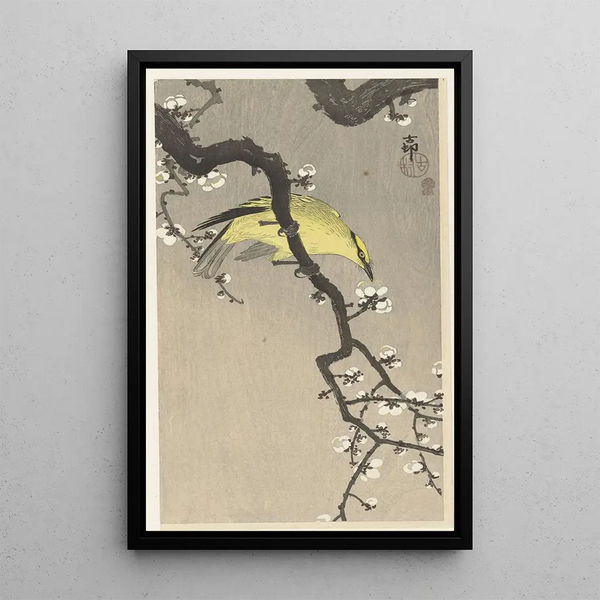 Chinesisches Loriot-Gemälde auf Pflaumenbaumzweig von Ohara Koson — gerahmtes Bild an der Wand