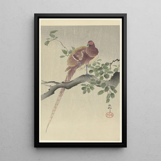 Ohara Koson - Copper pheasant.webp