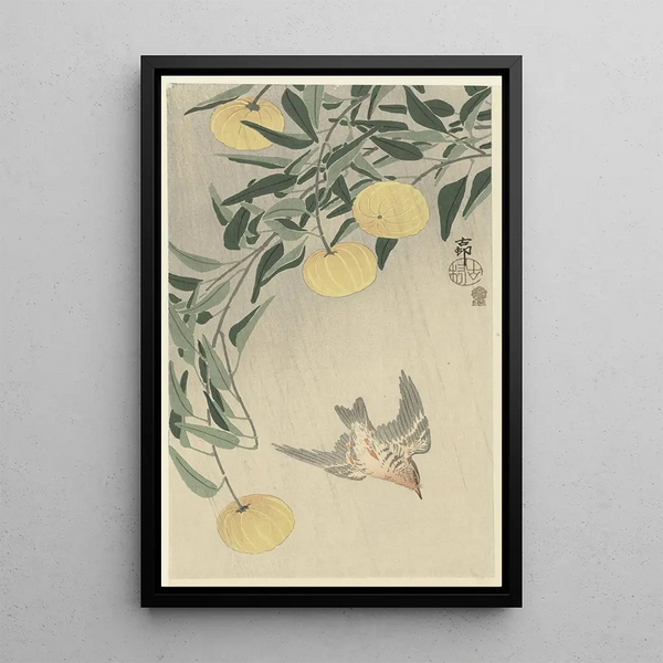Coucou sous la pluie - Ohara Koson — gerahmtes Bild an der Wand