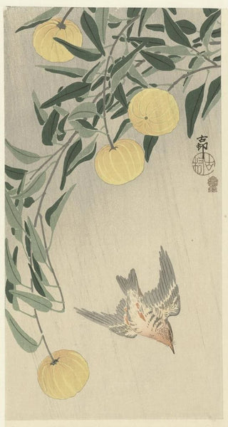 Ohara Koson - Cuckoo in the rain.webp