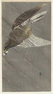 Adler im Flug - Ohara Koson — Ansicht des Kunstwerks