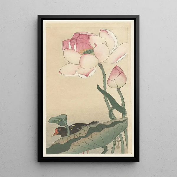 Gallinule mit Lotusblumen - Ohara Koson — gerahmtes Bild an der Wand