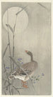 Gans im Vollmond - Ohara Koson — Ansicht des Kunstwerks