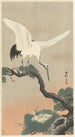 Japanische Kraniche auf Kiefernzweig - Ohara Koson — Ansicht des Kunstwerks