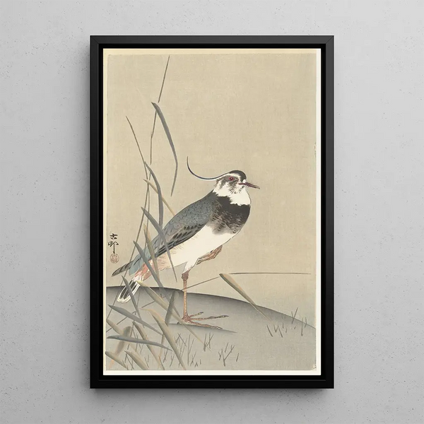 Vanneau et roseau - Ohara Koson — gerahmtes Bild an der Wand