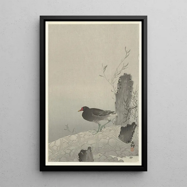 Wasserhuhn - Ohara Koson — gerahmtes Bild an der Wand