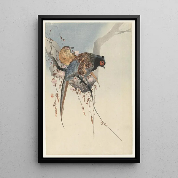 Paar von Fasanen und Pflaumenblüte - Ohara Koson — gerahmtes Bild an der Wand