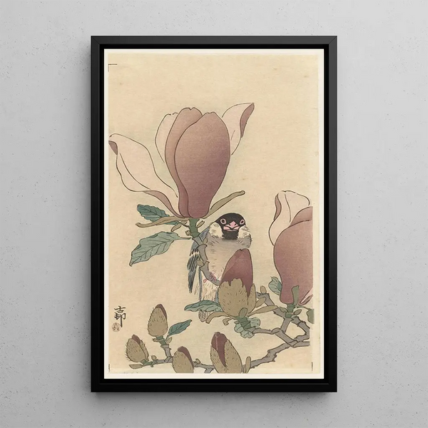 Möwe auf einem Magnolienzweig in Blüte - Ohara Koson — gerahmtes Bild an der Wand