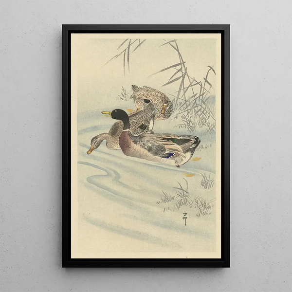 Drei Enten im flachen Wasser mit Schilf - Ohara Koson — gerahmtes Bild an der Wand
