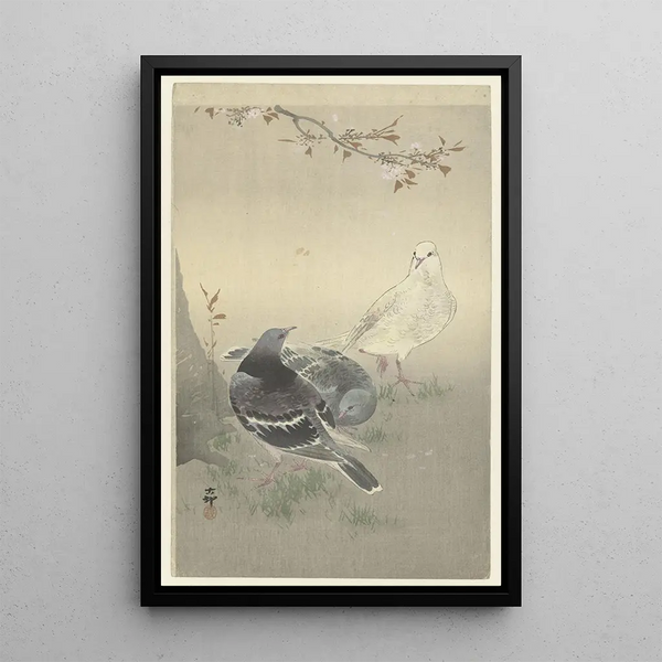 Drei gezähmte Tauben - Ohara Koson — gerahmtes Bild an der Wand
