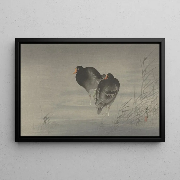 Zwei Wasserhühner - Ohara Koson — gerahmtes Bild an der Wand