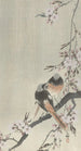 Zwei rote Schwanzfächer mit Kirschblüten - Ohara Koson — Ansicht des Kunstwerks