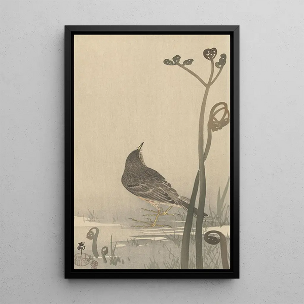Wasserträller - Ohara Koson — gerahmtes Bild an der Wand