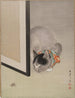 Beobachtende Katze mit einer Spinne - Oide Tōkō — Ansicht des Kunstwerks