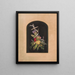 Ancre und Blumen Nr.1 - Olive E. Whitney — gerahmtes Bild an der Wand