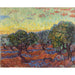 Reproduktion des Gemäldes Olivenhain, Saint-Rémy - Vincent van Gogh