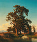 Ein majestätischer Baum im Abendlicht - Oswald Achenbach — Ansicht des Kunstwerks