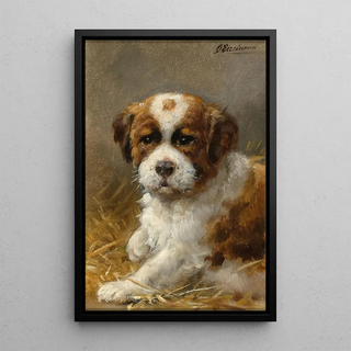 Otto Eerelman - A Young St Bernard.webp
