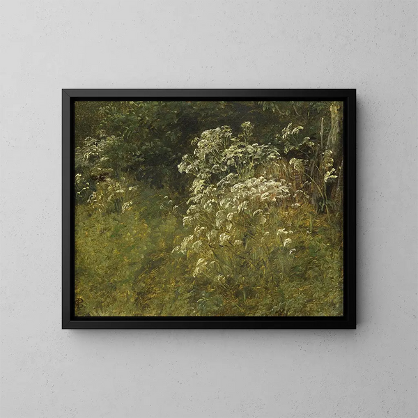 Studie der Berce des Kaukasus - P. C. Skovgaard — gerahmtes Bild an der Wand