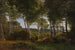 Holz des Delhoved-Gemäldes bei dem Skarre-See in Zeeland, Nachmittagssonne - P. C. Skovgaard — Ansicht des Kunstwerks