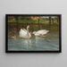 Cygnes et cygneaux - Patrick Downie — gerahmtes Bild an der Wand