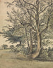 Eine Partie im Regent's Park - Patrick Nasmyth — Ansicht des Kunstwerks