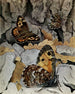Stocké - Paul-André Robert — Ansicht des Kunstwerks