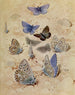 Pince bleue L'Argus - Paul-André Robert — Ansicht des Kunstwerks
