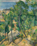 Blick auf das Meer in L'Estaque - Paul Cézanne — Ansicht des Kunstwerks
