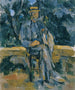 Portrait eines Bauern - Paul Cézanne — Ansicht des Kunstwerks