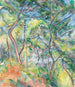 Unterholz - Paul Cézanne — Ansicht des Kunstwerks