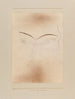 Kleines Geistertier Gemälde - Paul Klee — Ansicht des Kunstwerks
