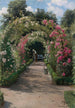 Im Garten - Peder Mønsted — Ansicht des Kunstwerks