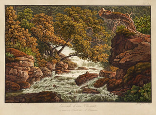 Peter Birmann - Cascade deau Chesant.webp