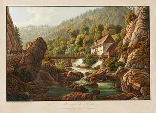 Peter Birmann - Martinet de Roche.webp