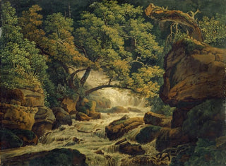 Chute d'eau de Birs - Peter Birmann — Ansicht des Kunstwerks
