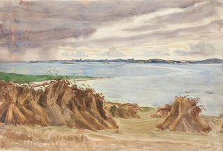 Peter Hansen - Rug i traver Katterd rev I baggrunden Bjrn.webp