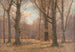 Ende des Herbstes im Buchenwald - Peter Paul Müller — Ansicht des Kunstwerks