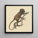 Petit singe - Pieter Pietersz Barbiers — gerahmtes Bild an der Wand