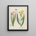 Iris sauvage et Iris faux - acore - Petr Martynovich Gofman — gerahmtes Bild an der Wand